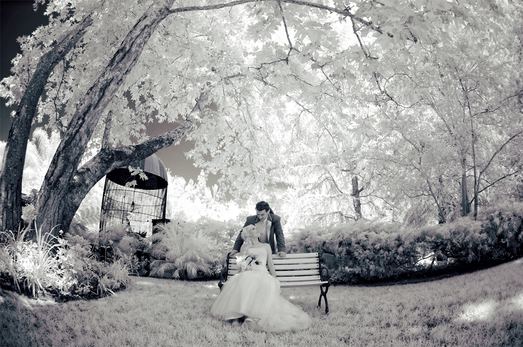 infrared wedding