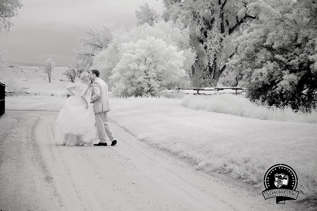 Sean Lara Photography185323