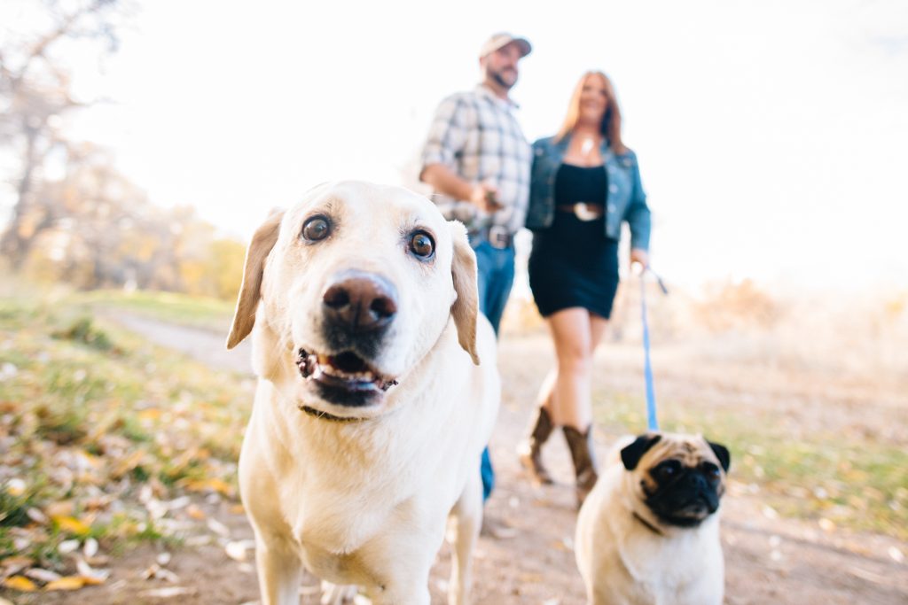 What to Wear to Your Engagement Session, engagement clothes, engagement photo ideas, engagement session, what to wear, what to wear to an engagement session