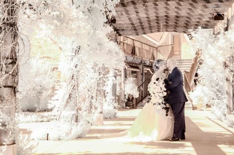 brookside gardens wedding